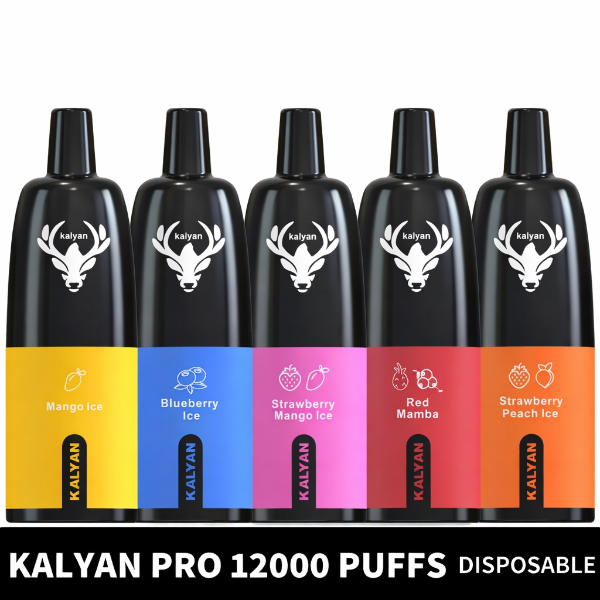 KALYAN PRO 12000 Puffs Price in Dubai